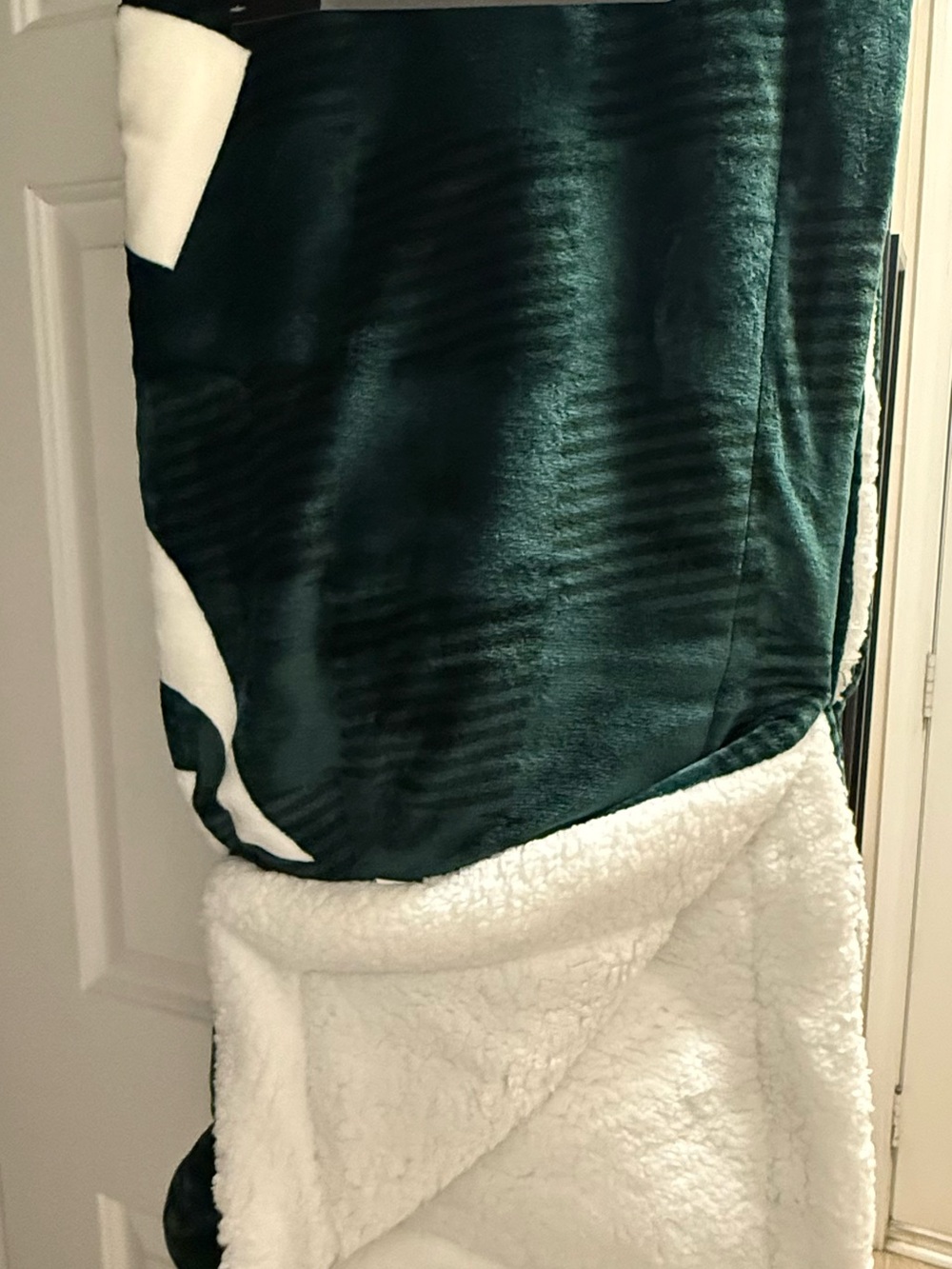 Pegasus sport Michigan State reversible Plush Sherpa Blanket